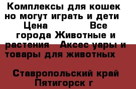 Комплексы для кошек, но могут играть и дети › Цена ­ 11 900 - Все города Животные и растения » Аксесcуары и товары для животных   . Ставропольский край,Пятигорск г.